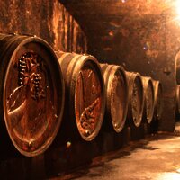 Holzfässer im Weinkelller