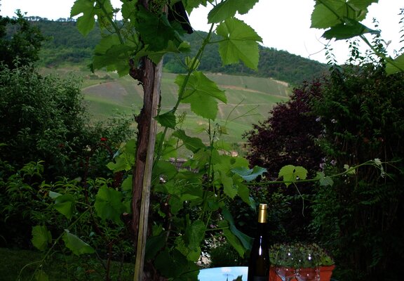 Gartenszene