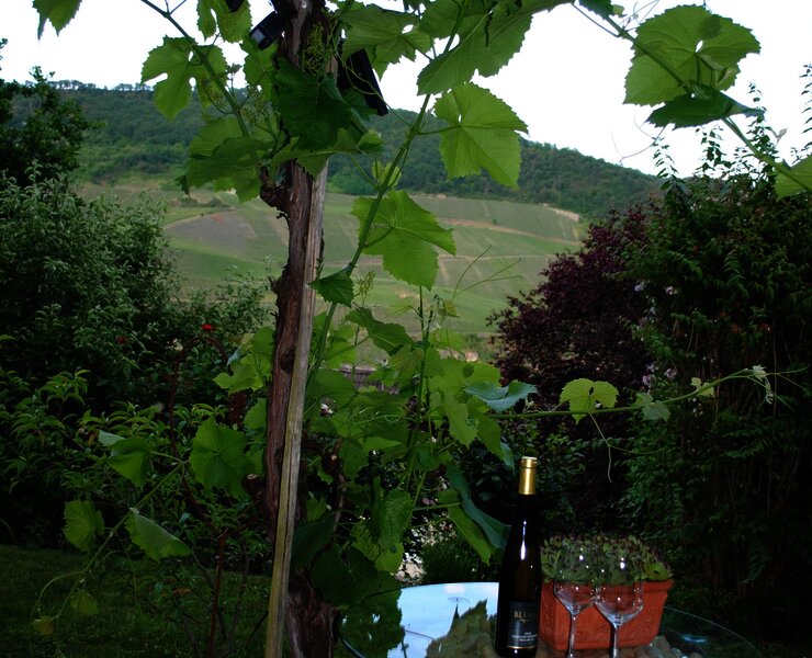 Gartenszene