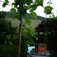 Gartenszene