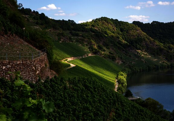 Weingut Lothar Kettern - Weinberge