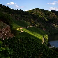 Weingut Lothar Kettern - Weinberge