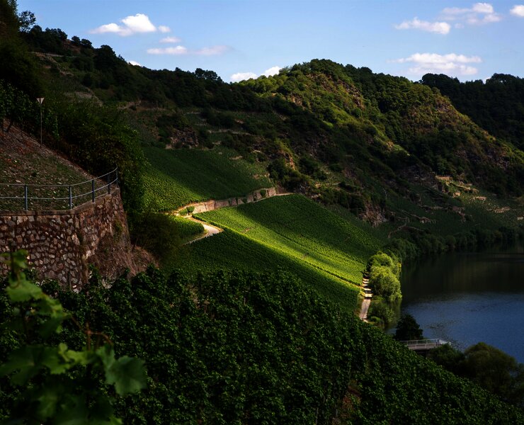 Weingut Lothar Kettern - Weinberge