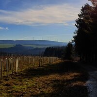 Ausblick auf den Hunsrück