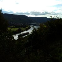 Im Hintergrund die Moselstaustufe Wintrich