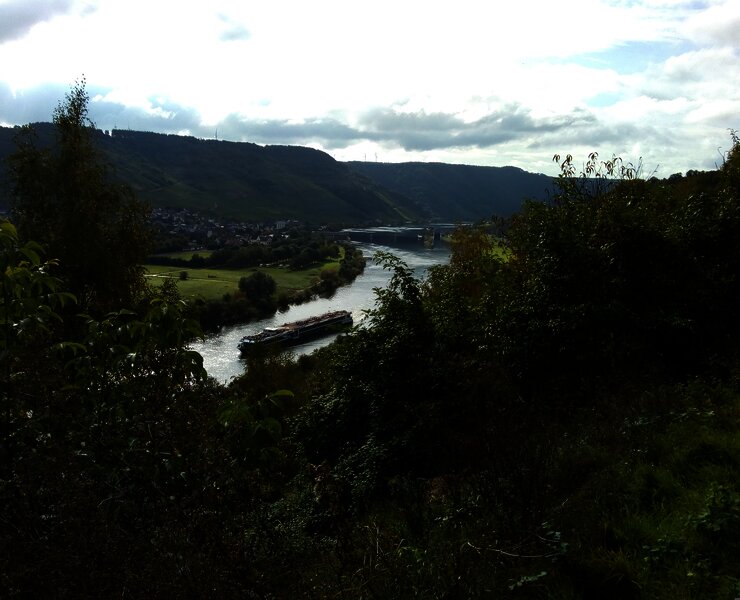 Im Hintergrund die Moselstaustufe Wintrich