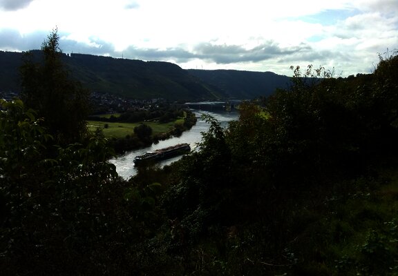 Im Hintergrund die Moselstaustufe Wintrich