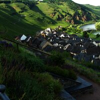 Blick auf die Weinberge von Ürzig