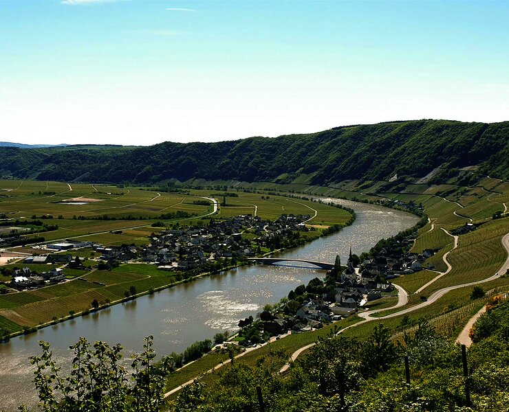 Ortsgemeinde Piesport