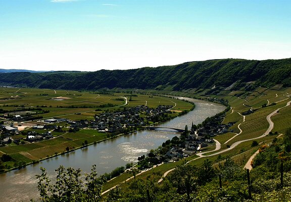 Ortsgemeinde Piesport