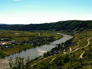 Ortsgemeinde Piesport