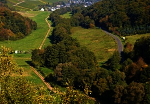 Blick ins Frohnbachtal