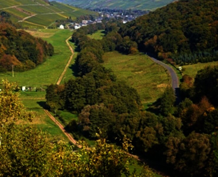 Blick ins Frohnbachtal