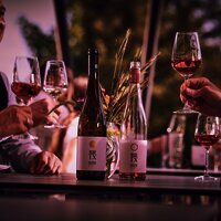 Weinprobe im Weingut Brixius