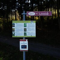Infotafel über Wald- und Wiesenblumen