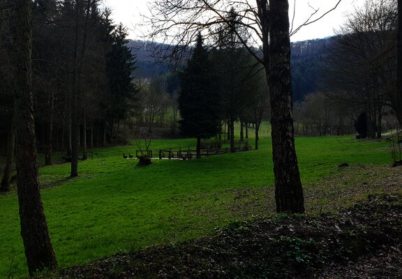Wassertretbecken in der Nähe des Sauerbrunnen