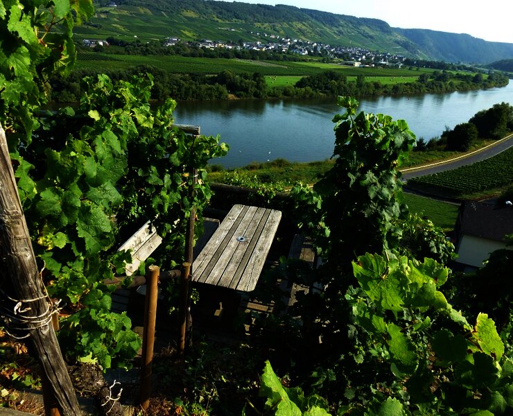 Schöne Rast mit Blick auf die Mosel