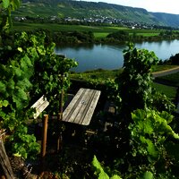 Schöne Rast mit Blick auf die Mosel