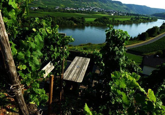 Schöne Rast mit Blick auf die Mosel
