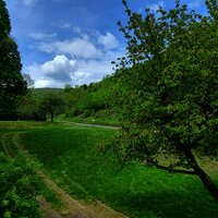 Aussicht von der Terrasse