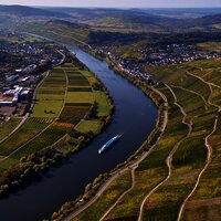Weinlandschaft bei Lieser