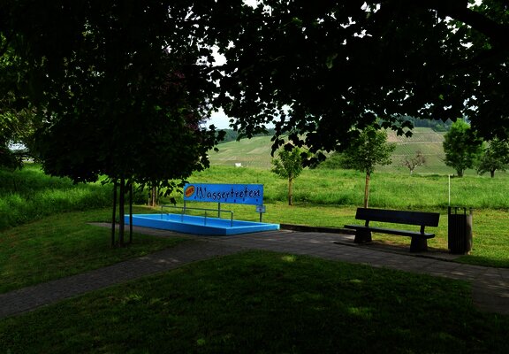 Wassertetbecken in Siebenborn