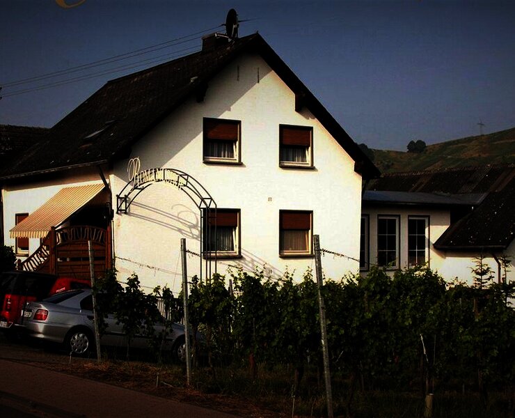 Weingut Romanushof Haus