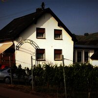 Weingut Romanushof Haus