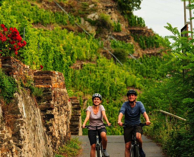 Mosel-Radweg bei Winningen 2