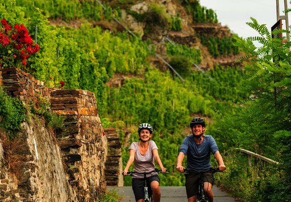 Mosel-Radweg bei Winningen 2