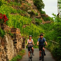 Mosel-Radweg bei Winningen 2