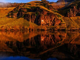 Mosel im Herbst
