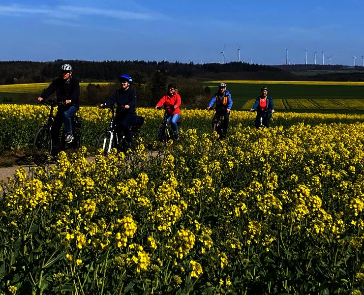 Radlen durch Rapsfelder