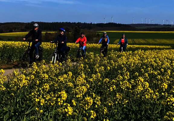 Radlen durch Rapsfelder