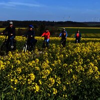 Radlen durch Rapsfelder