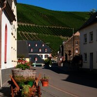Blick auf die Weinberge