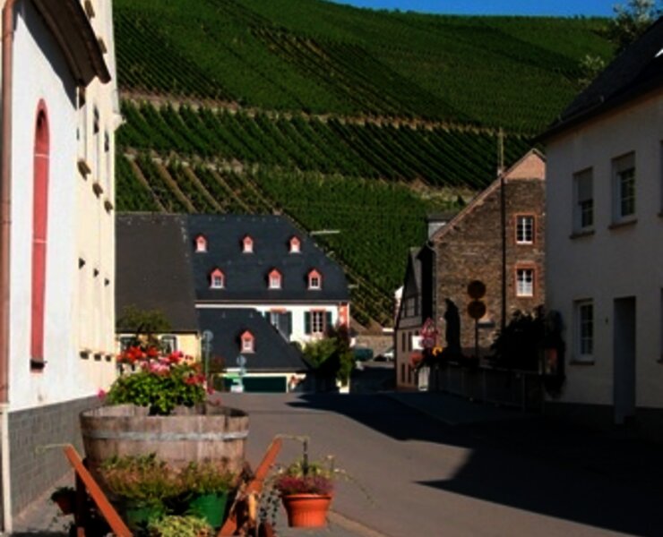Blick auf die Weinberge