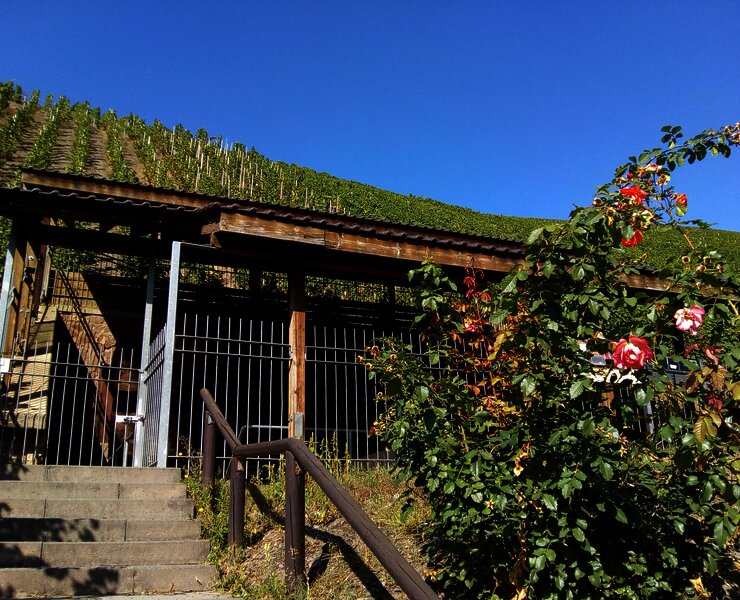 Kelteranlage in den Weinbergen