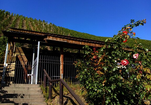Kelteranlage in den Weinbergen
