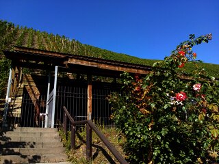 Kelteranlage in den Weinbergen