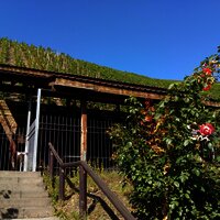 Kelteranlage in den Weinbergen