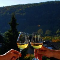 Zum Wohl mit einem Glas Wein aus eigenem Weingut