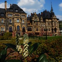 Abstecher zum Schloss Lieser