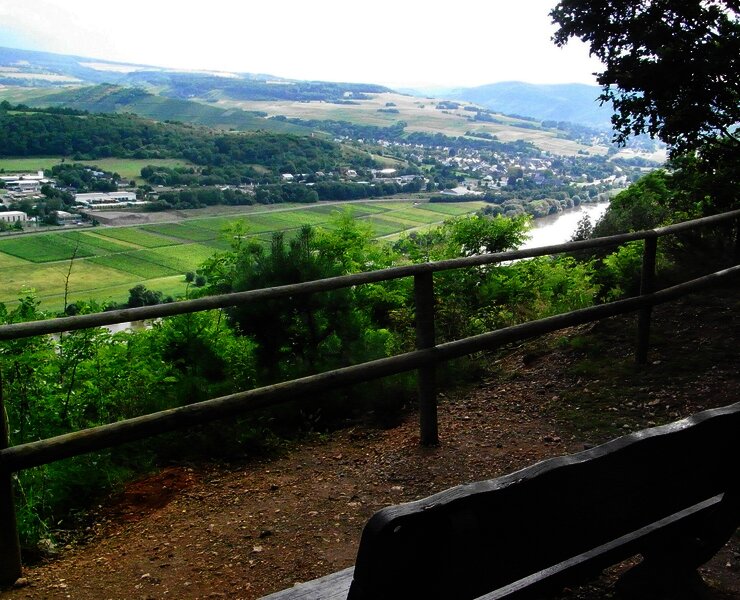 Blick vom Kueser Plateau auf Mülheim an der Mosel