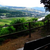 Blick vom Kueser Plateau auf Mülheim an der Mosel