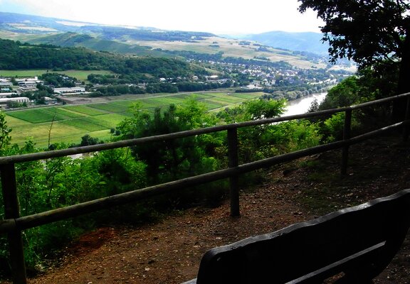 Blick vom Kueser Plateau auf Mülheim an der Mosel
