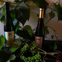 Weingut Ingo Später