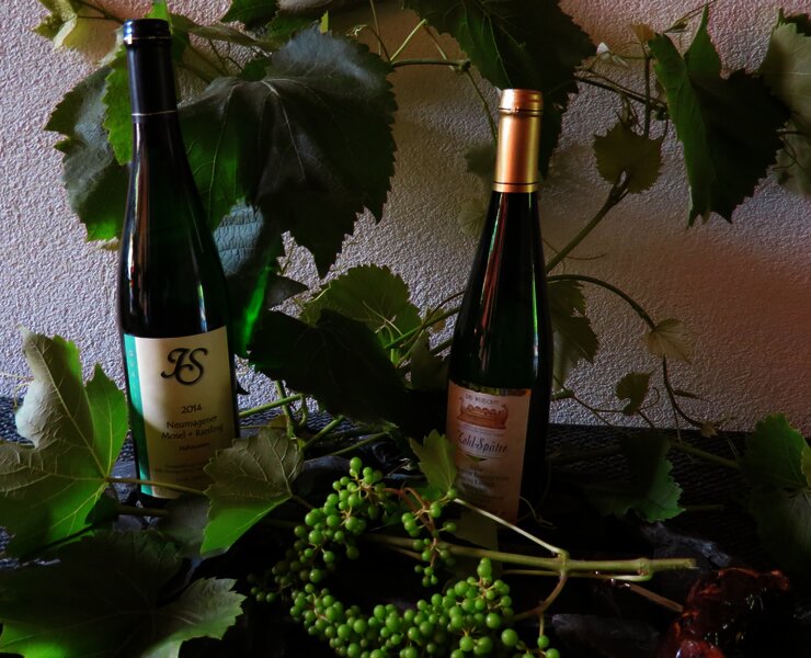 Weingut Ingo Später