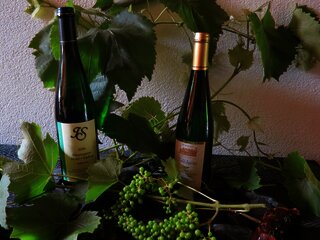 Weingut Ingo Später