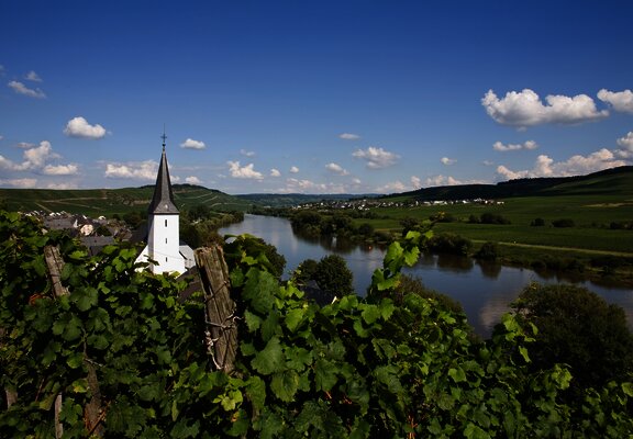 Blick auf die Weinberge und Kesten